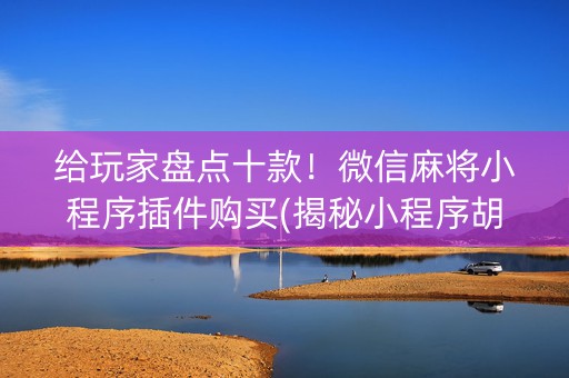 给玩家盘点十款！微信麻将小程序插件购买(揭秘小程序胡牌神器)