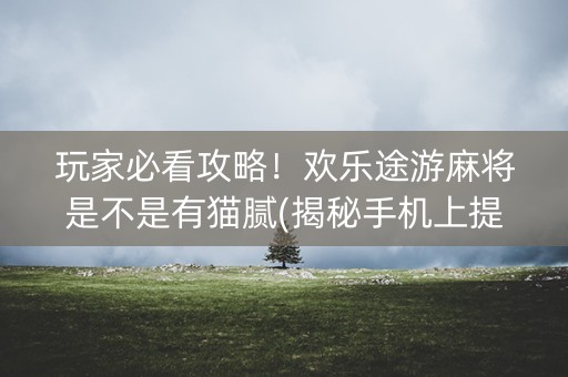 玩家必看攻略！欢乐途游麻将是不是有猫腻(揭秘手机上提高赢的概率)