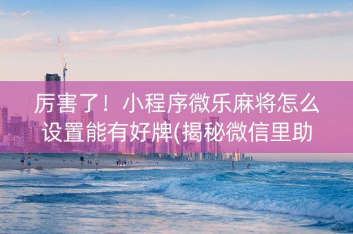 厉害了！小程序微乐麻将怎么设置能有好牌(揭秘微信里助赢神器购买)