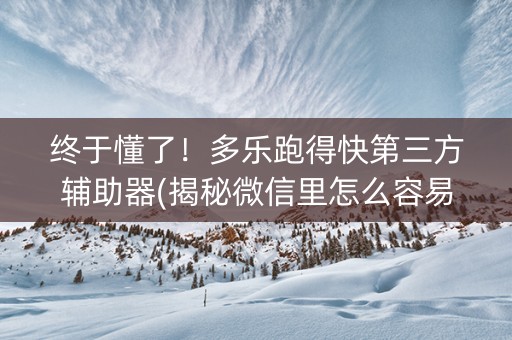 终于懂了！多乐跑得快第三方辅助器(揭秘微信里怎么容易赢)