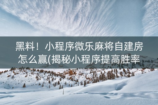 黑料！小程序微乐麻将自建房怎么赢(揭秘小程序提高胜率)