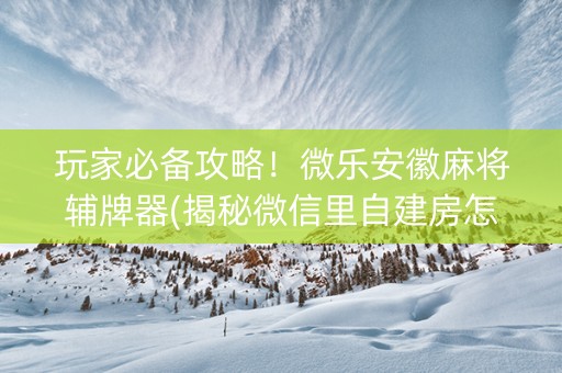 玩家必备攻略！微乐安徽麻将辅牌器(揭秘微信里自建房怎么赢)
