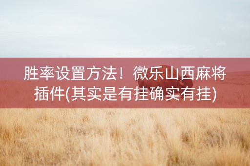 胜率设置方法！微乐山西麻将插件(其实是有挂确实有挂)