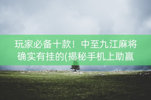 玩家必备十款！中至九江麻将确实有挂的(揭秘手机上助赢神器)