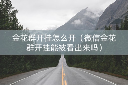 金花群开挂怎么开（微信金花群开挂能被看出来吗）