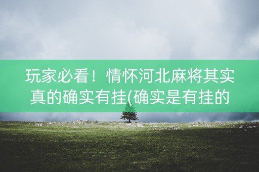 玩家必看！情怀河北麻将其实真的确实有挂(确实是有挂的)