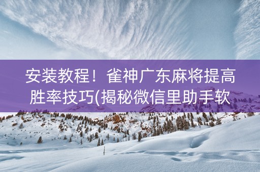 安装教程！雀神广东麻将提高胜率技巧(揭秘微信里助手软件)