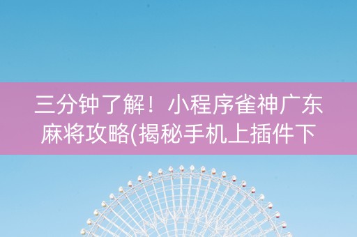 三分钟了解！小程序雀神广东麻将攻略(揭秘手机上插件下载)