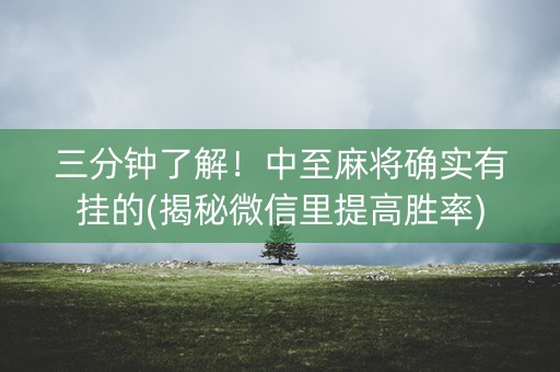 三分钟了解！中至麻将确实有挂的(揭秘微信里提高胜率)