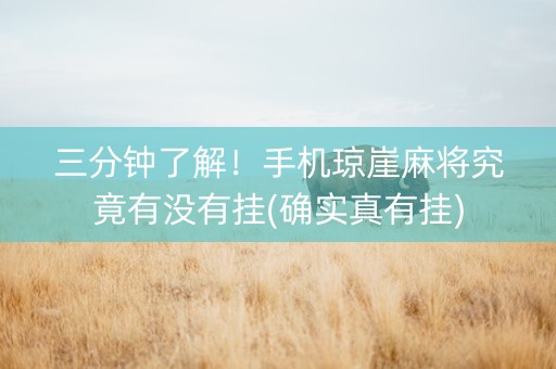 三分钟了解！手机琼崖麻将究竟有没有挂(确实真有挂)