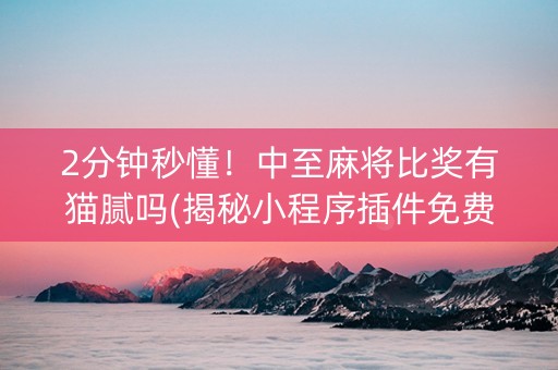 2分钟秒懂！中至麻将比奖有猫腻吗(揭秘小程序插件免费)