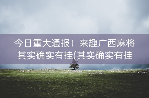 今日重大通报！来趣广西麻将其实确实有挂(其实确实有挂)