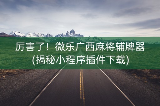厉害了！微乐广西麻将辅牌器(揭秘小程序插件下载)