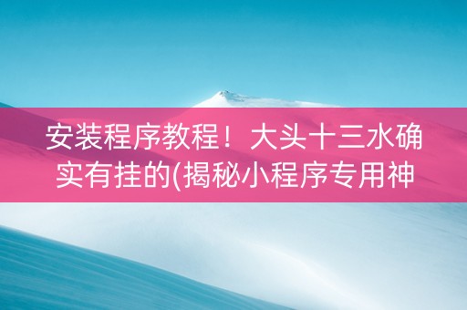 安装程序教程！大头十三水确实有挂的(揭秘小程序专用神器)
