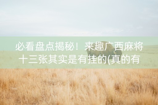 必看盘点揭秘！来趣广西麻将十三张其实是有挂的(真的有挂)