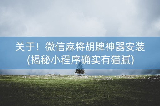 关于！微信麻将胡牌神器安装(揭秘小程序确实有猫腻)