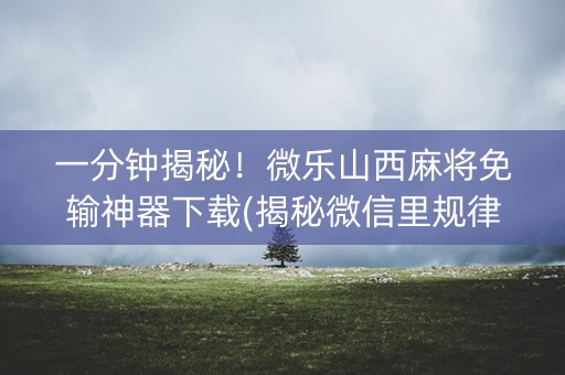 一分钟揭秘！微乐山西麻将免输神器下载(揭秘微信里规律攻略)