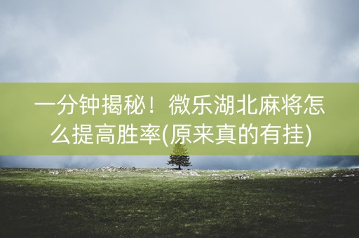 一分钟揭秘！微乐湖北麻将怎么提高胜率(原来真的有挂)