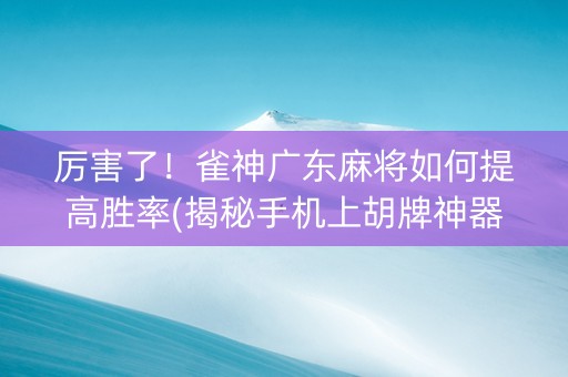 厉害了！雀神广东麻将如何提高胜率(揭秘手机上胡牌神器)