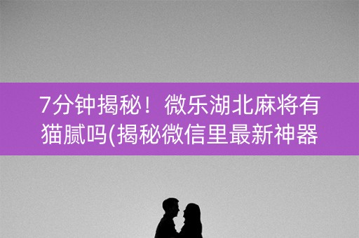 7分钟揭秘！微乐湖北麻将有猫腻吗(揭秘微信里最新神器下载)