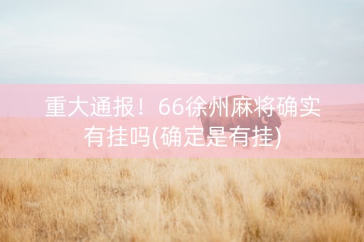 重大通报！66徐州麻将确实有挂吗(确定是有挂)