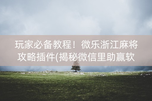 玩家必备教程！微乐浙江麻将攻略插件(揭秘微信里助赢软件)
