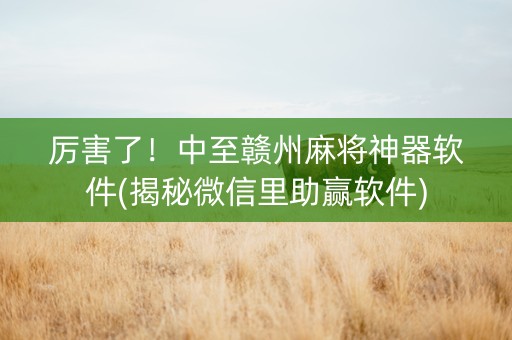 厉害了！中至赣州麻将神器软件(揭秘微信里助赢软件)
