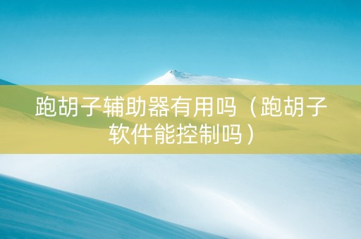 跑胡子辅助器有用吗（跑胡子软件能控制吗）