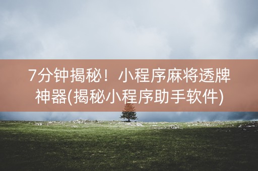 7分钟揭秘！小程序麻将透牌神器(揭秘小程序助手软件)
