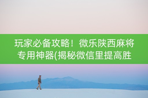 玩家必备攻略！微乐陕西麻将专用神器(揭秘微信里提高胜率)