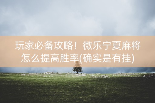 玩家必备攻略！微乐宁夏麻将怎么提高胜率(确实是有挂)