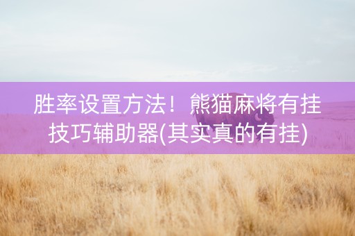 胜率设置方法！熊猫麻将有挂技巧辅助器(其实真的有挂)
