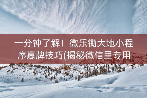 一分钟了解！微乐锄大地小程序赢牌技巧(揭秘微信里专用神器)