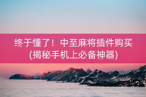 终于懂了！中至麻将插件购买(揭秘手机上必备神器)