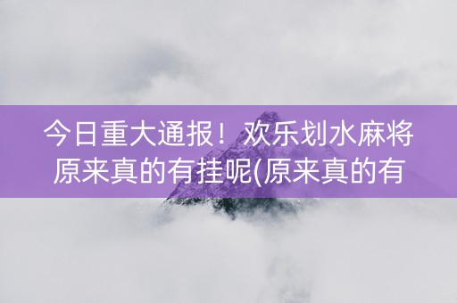 今日重大通报！欢乐划水麻将原来真的有挂呢(原来真的有挂)