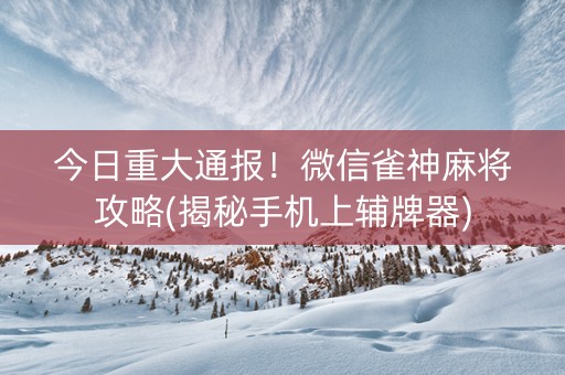 今日重大通报！微信雀神麻将攻略(揭秘手机上辅牌器)