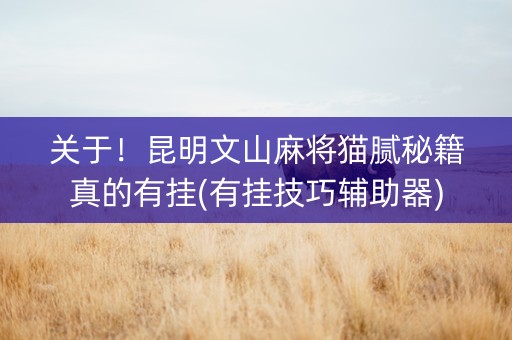 关于！昆明文山麻将猫腻秘籍真的有挂(有挂技巧辅助器)