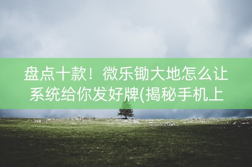 盘点十款！微乐锄大地怎么让系统给你发好牌(揭秘手机上自建房怎么赢)
