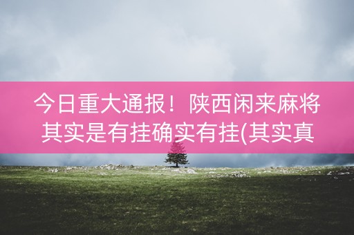 今日重大通报！陕西闲来麻将其实是有挂确实有挂(其实真的确实有挂)