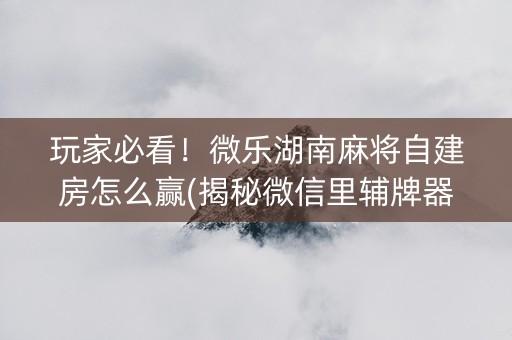 玩家必看！微乐湖南麻将自建房怎么赢(揭秘微信里辅牌器)