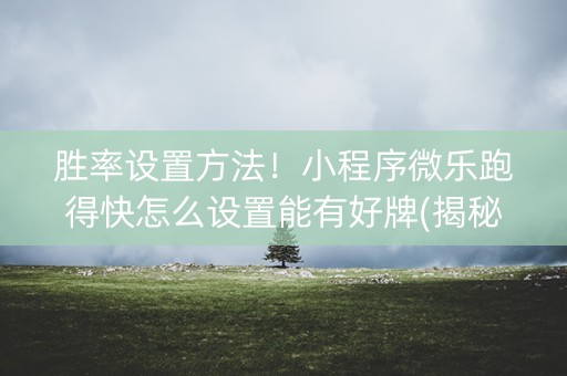 胜率设置方法！小程序微乐跑得快怎么设置能有好牌(揭秘微信里助赢神器购买)