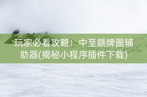 玩家必看攻略！中至赣牌圈辅助器(揭秘小程序插件下载)