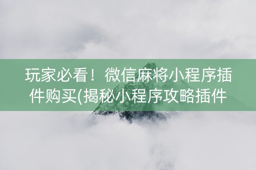 玩家必看！微信麻将小程序插件购买(揭秘小程序攻略插件)