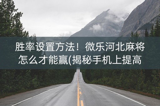 胜率设置方法！微乐河北麻将怎么才能赢(揭秘手机上提高赢的概率)