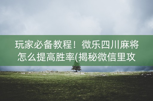 玩家必备教程！微乐四川麻将怎么提高胜率(揭秘微信里攻略插件)
