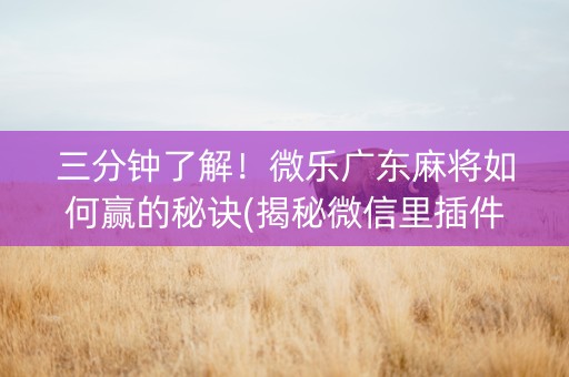 三分钟了解！微乐广东麻将如何赢的秘诀(揭秘微信里插件下载)