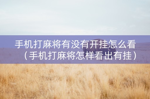 手机打麻将有没有开挂怎么看（手机打麻将怎样看出有挂）