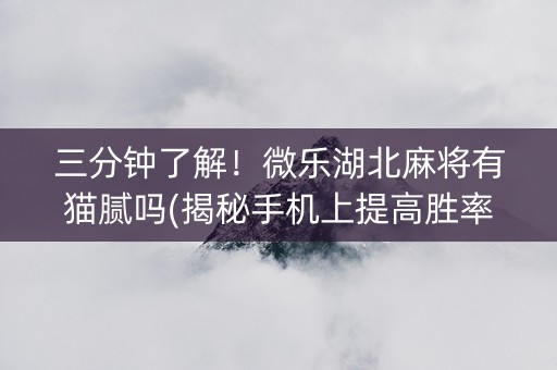 三分钟了解！微乐湖北麻将有猫腻吗(揭秘手机上提高胜率)