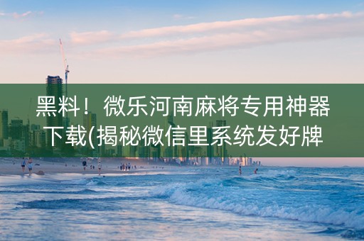 黑料！微乐河南麻将专用神器下载(揭秘微信里系统发好牌)