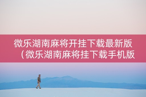 微乐湖南麻将开挂下载最新版（微乐湖南麻将挂下载手机版）